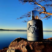 ☯️ Zen Do ☯️ (by LouisBaldini)