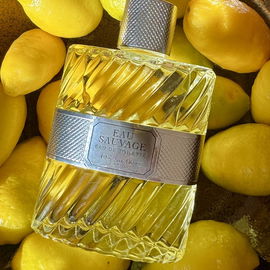 Eau Sauvage (Eau de Toilette) - Dior