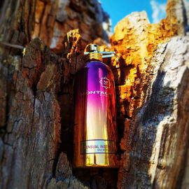 Sensual Instinct - Montale
