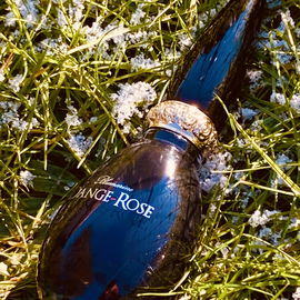 Dange-Rose - Blumarine