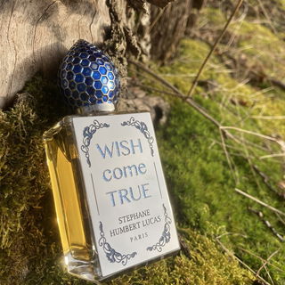 Wish Come True - Stéphane Humbert Lucas