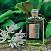 Mein winziges Schätzchen. Ganz lieben Dank euch🤗😘 (von Gandix)