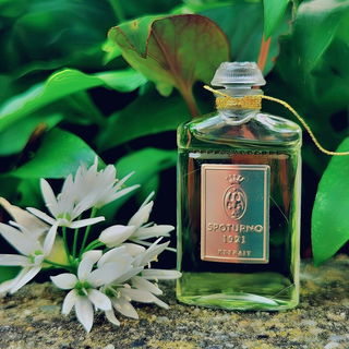 Spoturno 1921 (Extrait) von Spoturno