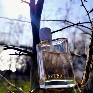 Her (Eau de Parfum) von Burberry
