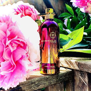 Sweet Peony von Montale