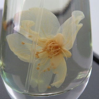 Flor d'Ametler Clàssic - Flor d'Ametler