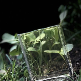 Cristalle (Eau de Parfum) von Chanel