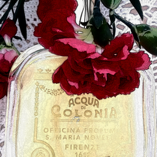 Garofano von Santa Maria Novella