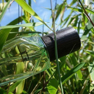 It's All About Spa von Förster & Johnsen