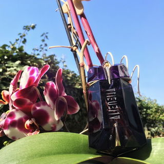 Alien (Eau de Parfum) von Mugler