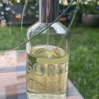 Gorse von Laboratory Perfumes