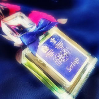 Seringa (Eau de Parfum) von Floris