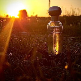 Pleasures (Eau de Parfum) - Estēe Lauder