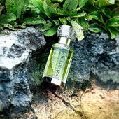 …📷🌍 Thank you. Danke schön. Merci beaucoup. Muchas gracias. Dōmo arigatō gozaimasu 💐… (by Kokusai)