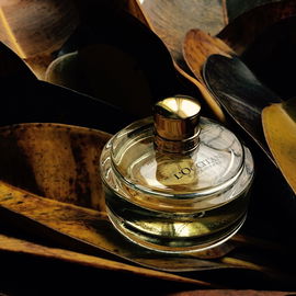Pierre Hermé - Jasmin-Immortelle-Neroli - L'Occitane en Provence