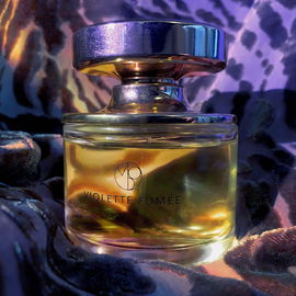 Les Nombres d'Or - Violette Fumée - Maison Mona di Orio