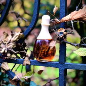 …📷🌍 Thank you. Danke schön. Merci beaucoup. Muchas gracias. Dōmo arigatō gozaimasu 💐… (by Kokusai)