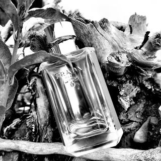 L'Homme L'Eau
