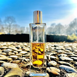 Wunderschöne Grüße aus dem sonnigen Seerosenteich/Wien♥️♥️♥️