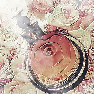 Valentina Assoluto - Valentino