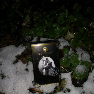 Bat (2020) von Zoologist