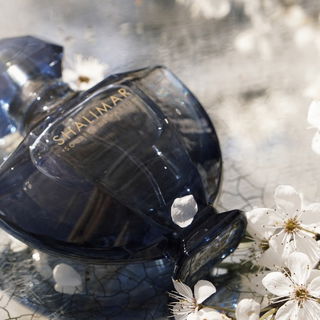 Shalimar Souffle de Parfum von Guerlain
