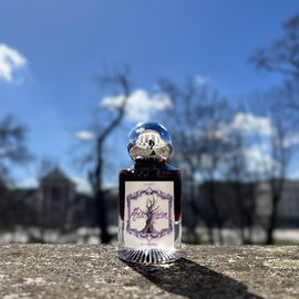 Pathétique - O'Driù