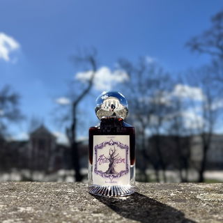 Pathétique - O'Driù