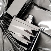 I like to wear my black jacket with Attitude Extrême (by Morpheus1)