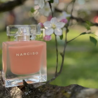 Narciso Eau Néroli Ambrée - Narciso Rodriguez