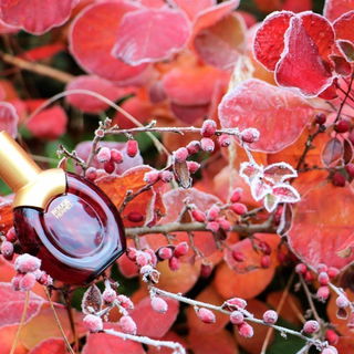 Rouge Hermès (Eau de Toilette) - Hermès