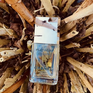 Im winterlichen  Hortensienbusch 💜🩵 Dankeschön 💗