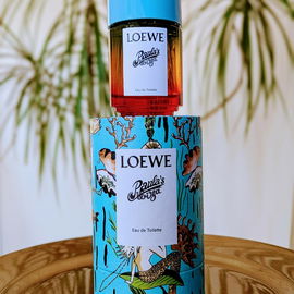 Paula's Ibiza - Loewe