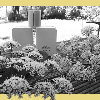 Selection Women (Eau de Parfum) - s.Oliver