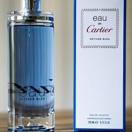 The Scent Magnetic for Him - Hugo Boss