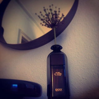 Blanc de Sienne von Evody