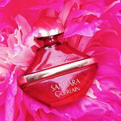 Samsara in der Blüte ihres Lebens 😉 (by JonasP1)