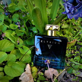 Enigma pour Homme / Creation-E pour Homme (Eau de Parfum) - Roja Parfums