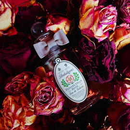 I wanna lay you down in a bed of roses 🌹🎶❤️ Ganz lieben Dank für Eure Besuche 🥰