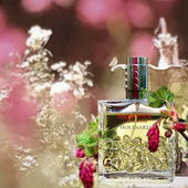 ……. Frühling! ..…. :))) - - - Danke schön für all Eure schönen Anmerkungen und Komplimente -, jedes einzelne ist mir eine Freude :)😊 (von IrisNobile)