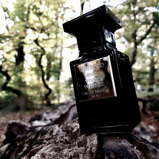 Bei den Süntelbuchen ist der Tom zu suchen