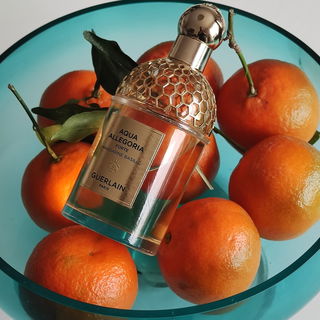 Aqua Allegoria Forte Mandarine Basilic by Guerlain