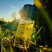 Frühlingsgefühle - Danke für die lieben Worte (von Theris)