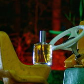 Nachts im Wald (um eine alte Kamera zu testen) (by Whadelse89)