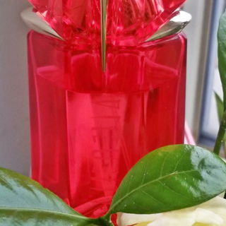 Alien Fusion. Und Gardenie!