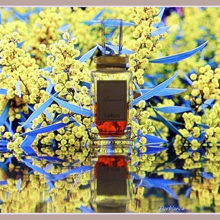 Acaciosa (1929) - Caron