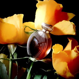 Duftende Rosen für alle lieben Mamas. Und Parfumos:).