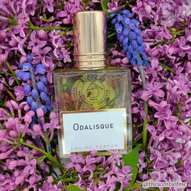 Odalisque - Nicolaï / Parfums de Nicolaï