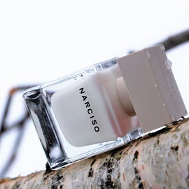 Narciso (Eau de Parfum) - Narciso Rodriguez
