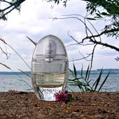 Uferplätzchen mit Aussicht (von MadameLegras)